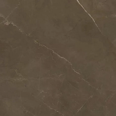 Kerranova Marble Trend K-1002 MR 9mm 60x60 / Керранова
 Марбл Тренд K-1002 Мр
 9mm 60x60 